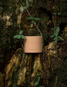 Waphyto odżywczy krem do twarzy