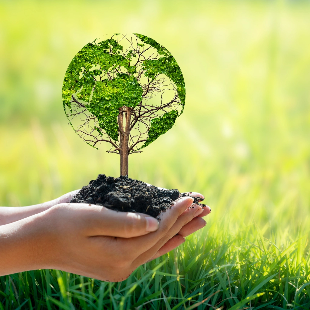 Odpowiedzialność Waphyto