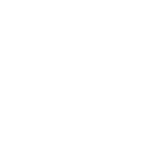 Iren Skin